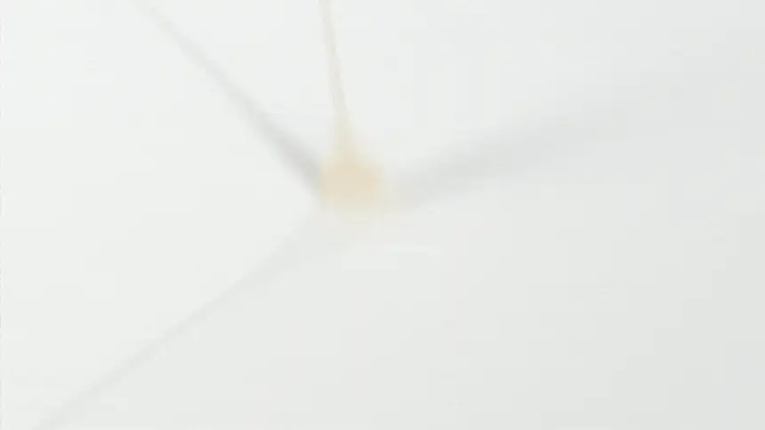 Miniatyrbild 5
